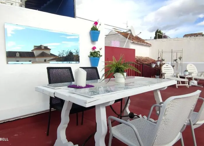 Big And Cozy With A Big Terrace In The Center Of The Old Town